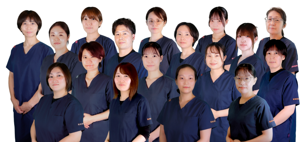 動物看護チーム