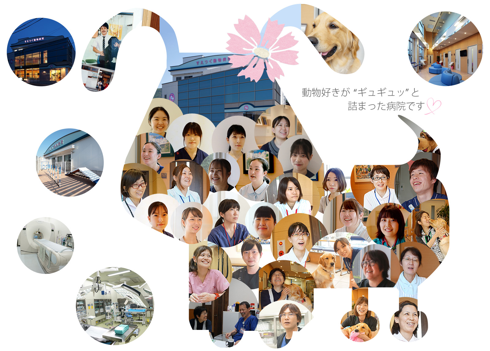 動物好きがギュギュッと詰まった病院です