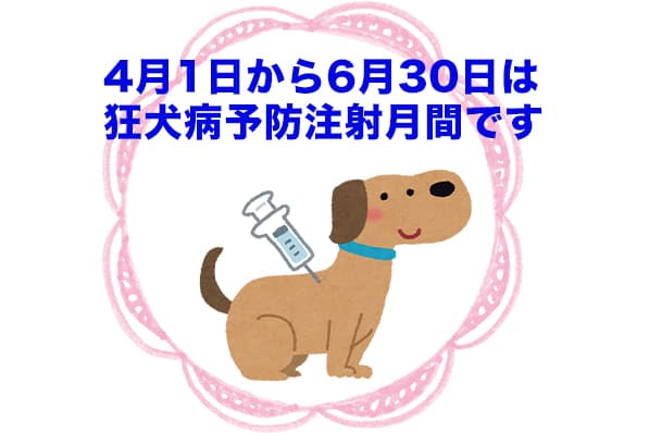 4月1日から6月30日は狂犬病予防注射月間です お知らせ すえつぐ動物病院 関西九州大分県別府市