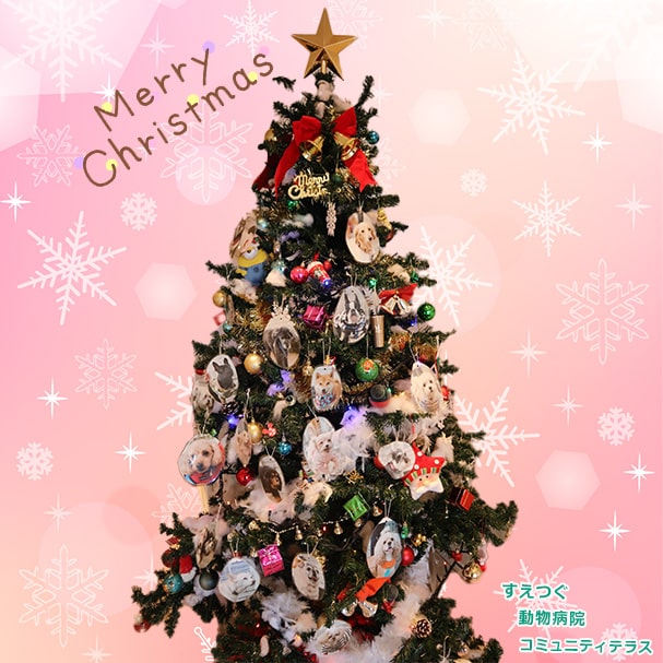 クリスマスツリーを飾りました☆