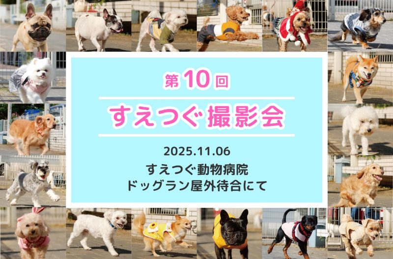 第10回撮影会ムービーをSNSにて公開中!