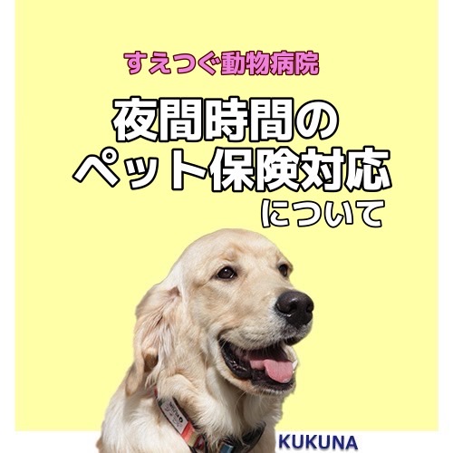 【ご案内】夜間は受付不在のためペット保険の対応ができません